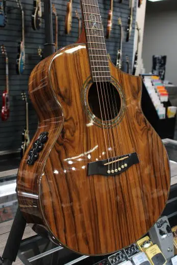 Ibanez - Ibanez Acoustic Exotic Cocobolo Cutaway w/ Electronics 2