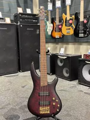 Store Special Product - Ibanez - SR305EDXWZM