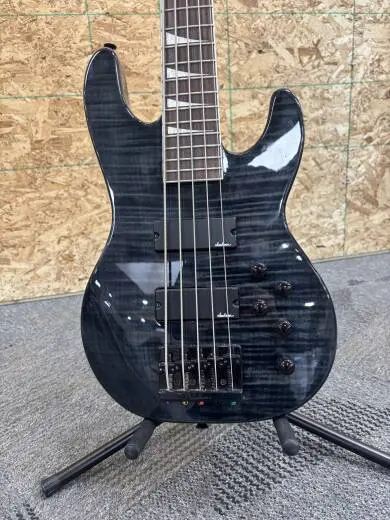 Jackson Guitars - 291-6646-585 2