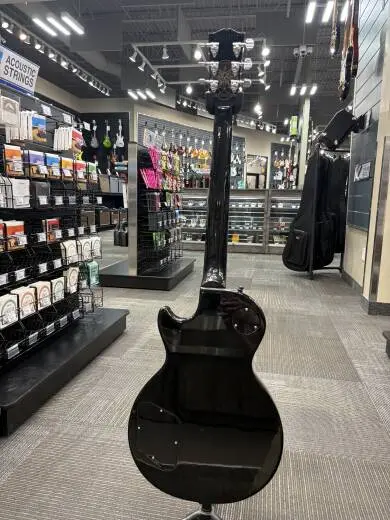 Gibson - Adam Jones Les Paul Standard - Antique Silverburst 2