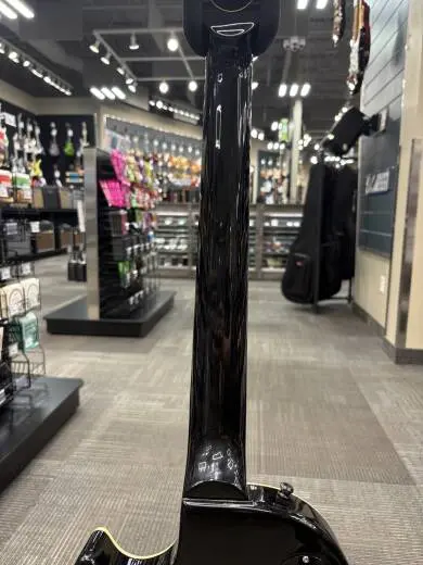 Gibson - Adam Jones Les Paul Standard - Antique Silverburst 2