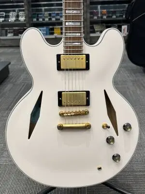 Epiphone - Emily Wolfe Sheraton Hollow Body 2