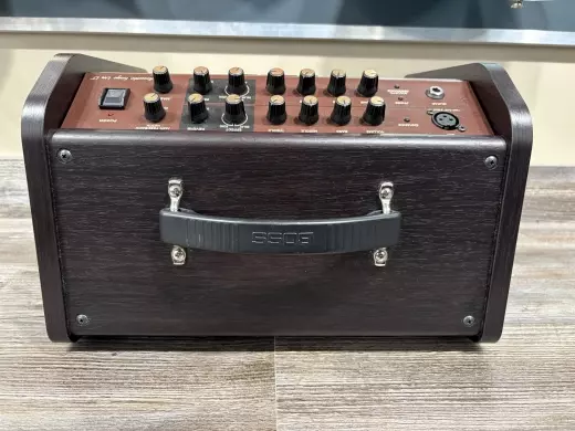 BOSS - Acoustic Singer Live LT Guitar Amp 2