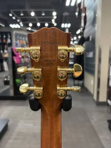 Gibson - ACSDC19ANGH 2