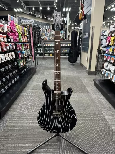 PRS Guitars - Limited Edition SE Swamp Ash CE 24 Electric Gutiar with Gigbag - Sandblasted White