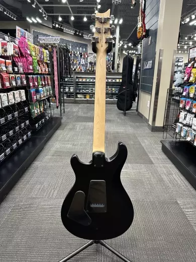 PRS Guitars - Limited Edition SE Swamp Ash CE 24 Electric Gutiar with Gigbag - Sandblasted White 5