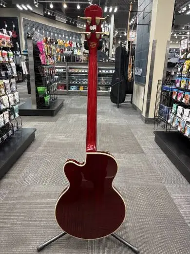 Epiphone -Allen Woody Bass - Wine Red 2