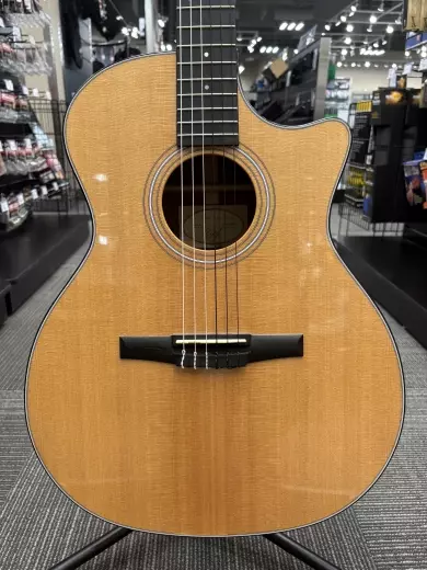Store Special Product - Taylor Guitars - 314ce-N Grand Auditorium Nylon Acoustic-Electric w/ Case