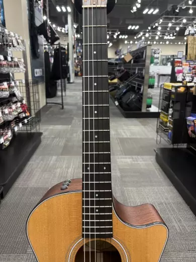 Store Special Product - Taylor Guitars - 314ce-N Grand Auditorium Nylon Acoustic-Electric w/ Case