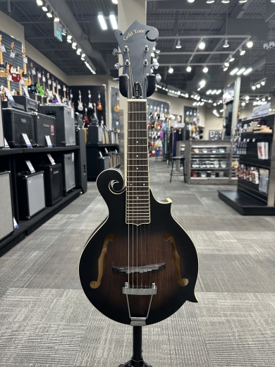 Gold Tone - F-6 6-String F-style Mando-Guitar with Pickup and Case