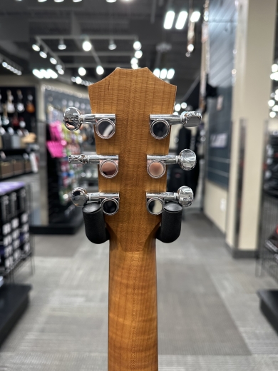 Taylor Guitars - BT1 Baby Taylor Sitka Spruce/Layered Walnut Acoustic Guitar with Gigbag 2