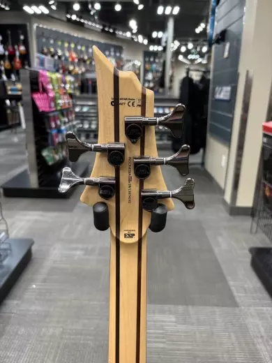 ESP Guitars - LTD B-205SM Fretless 5-String Bass - Natural Satin 2