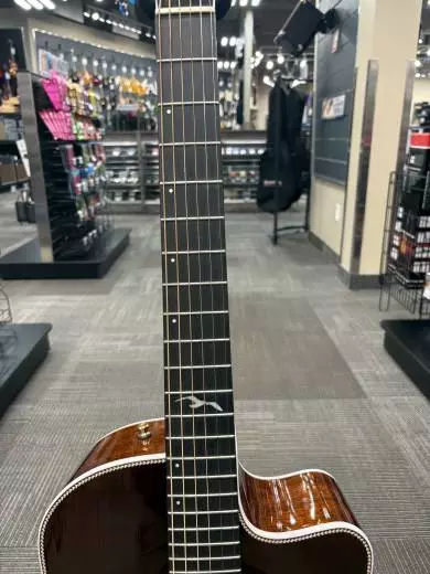 Seagull Guitars - Artist Series Peppino Signature Cutaway Acoustic/Electric Guitar w/ Tric Case 2