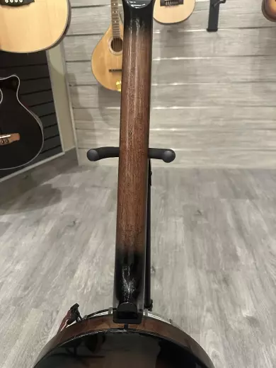 Gold Tone - Cripple Creek 6-String Banjitar 7