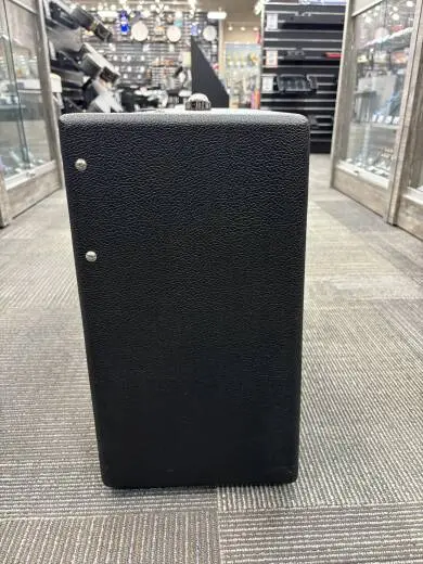 Fender - Mustang GTX100 1x12 Modeling Combo Amplifier 2