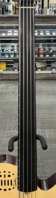 Godin Guitars - A5 Ultra Semi-Acoustic Fretless Bass 2