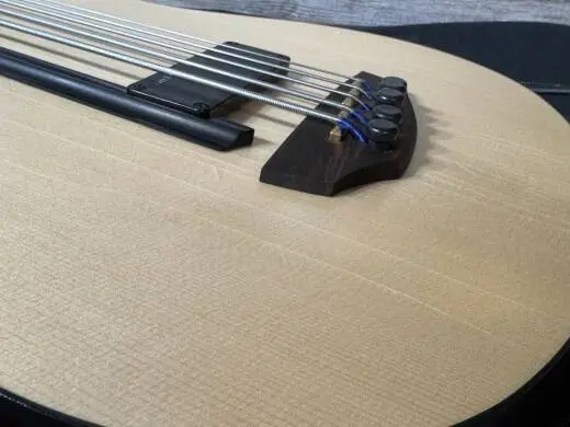 Godin Guitars - A5 Ultra Semi-Acoustic Fretless Bass 2