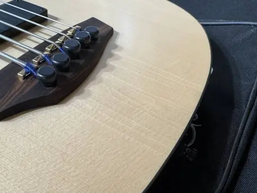 Godin Guitars - A5 Ultra Semi-Acoustic Fretless Bass 2