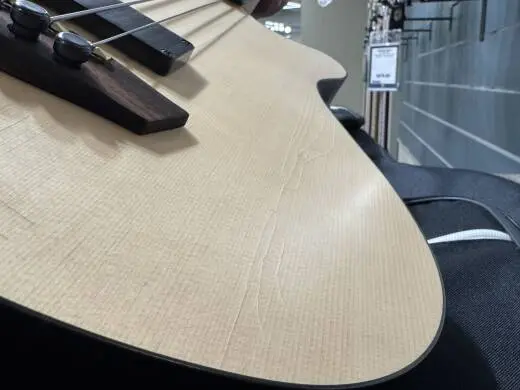 Godin Guitars - A5 Ultra Semi-Acoustic Fretless Bass 2