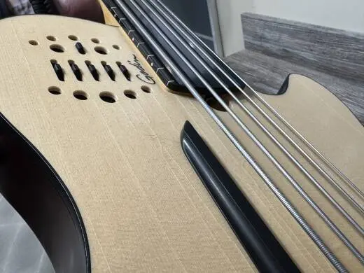 Godin Guitars - A5 Ultra Semi-Acoustic Fretless Bass 2