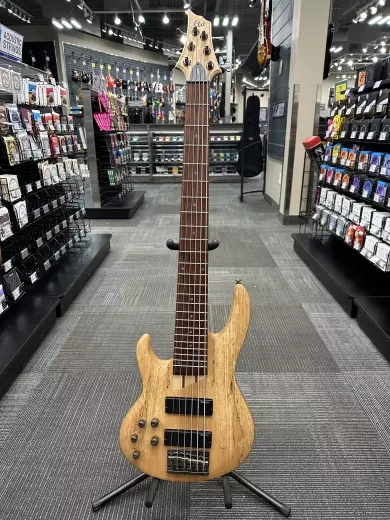 ESP Guitars - LTD 6-String Left Hand Bass Guitar - Natural Satin