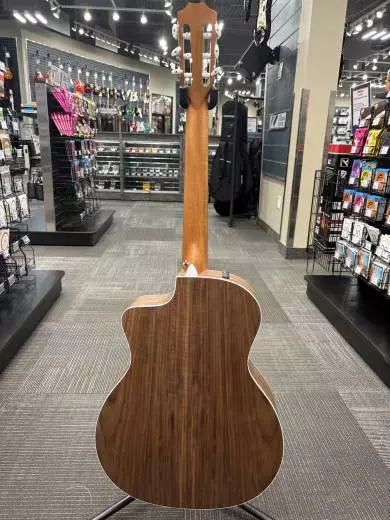 Taylor Guitars - 214ce-N Grand Auditorium Walnut/Spruce Acoustic/Electric Guitar with Gigbag 2