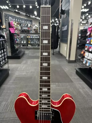 Epiphone - Joe Bonamassa 1962 ES-335 w/Case 3