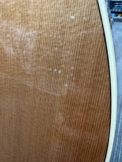 Godin Guitars - Concert CW EQ Cedar/Mahogany Nylon String Acoustic/Electric Guitar 2