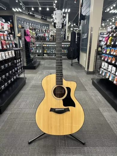 Taylor Guitars - 214ce Plus Rosewood/Spruce Acoustic/Electric Guitar with Gigbag