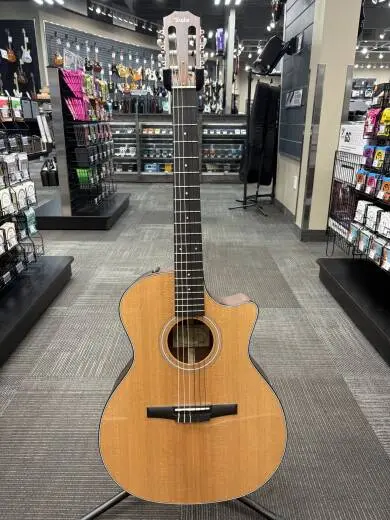 Taylor - 314ce-N Grand Auditorium Nylon Acoustic-Electric w/ Case
