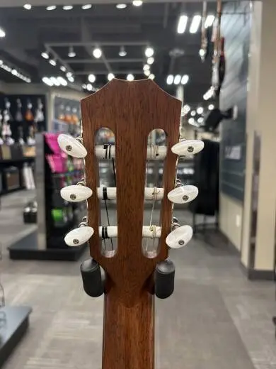 Taylor - 314ce-N Grand Auditorium Nylon Acoustic-Electric w/ Case 2