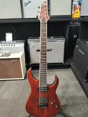 SCHECTER BANSHEE ELITE-7 CEP 2
