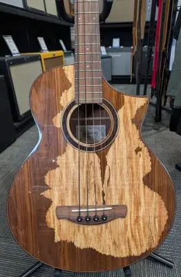 Ibanez - AEWB50-NT 2