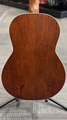 Store Special Product - Godin Guitars - G49691