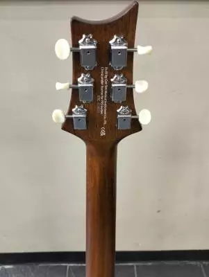 SE P20E Acoustic/Electric Parlor Guitar with Gigbag - Satin Black Top 2