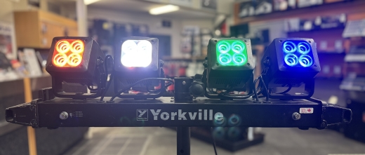 Store Special Product - Yorkville - LP-LED4X