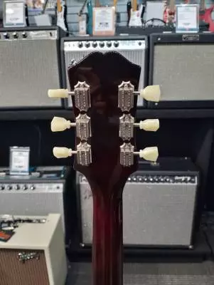 EPI ES-335 FIG BLUEBERRY BURST 2