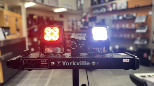 Store Special Product - Yorkville - LP-LED2X