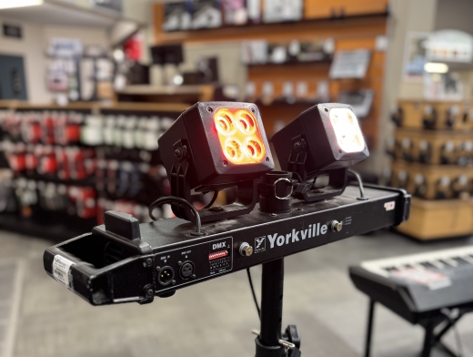 Store Special Product - Yorkville - LP-LED2X