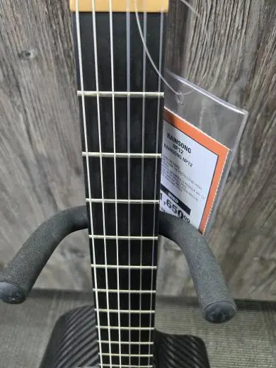 Rainsong-NP12 2