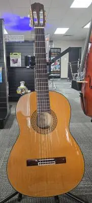 Takamine - FGD136S