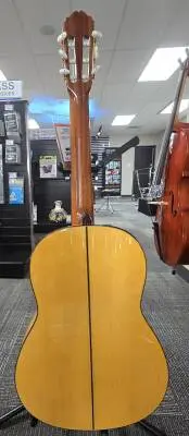Takamine - FGD136S 2