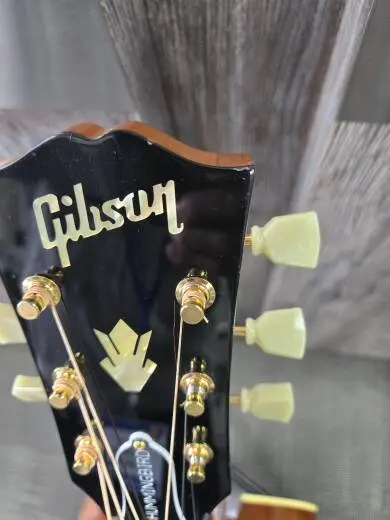 Gibson - ACOHBHCGH 2