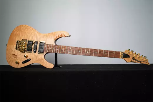 Ibanez - EGEN8 PLB