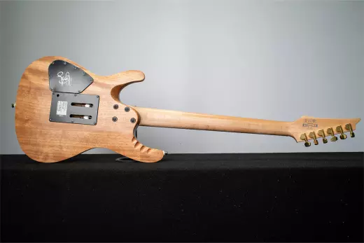 Ibanez - EGEN8 PLB 2