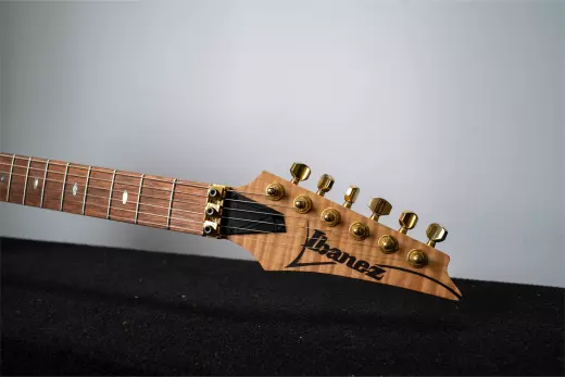 Ibanez - EGEN8 PLB 4