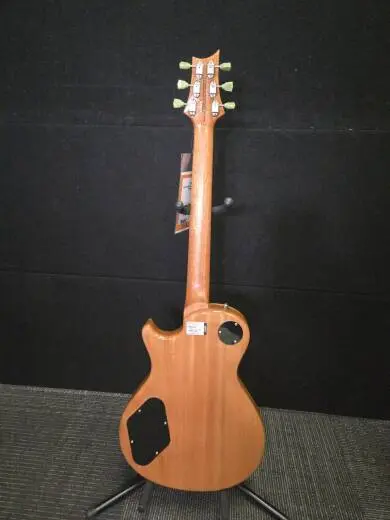 PRS SE - 100477:TG 2