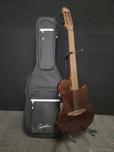 Godin Guitars - G52417
