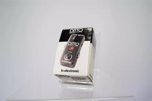 Store Special Product - TC Electronic - DITTO LOOPER