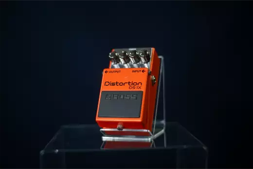 Store Special Product - BOSS - DS-1X